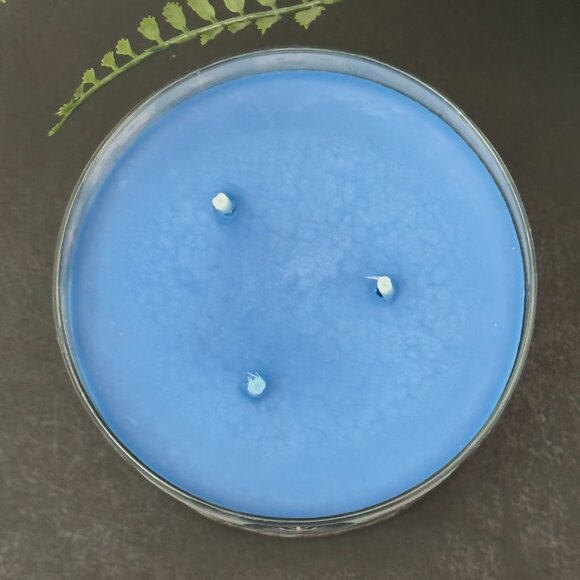 BBW Fresh Sparkling Snow Bath & Body Works 3 Wick Candle - Picture 7 of 10